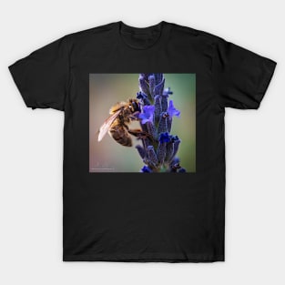 BEE LIFE T-Shirt